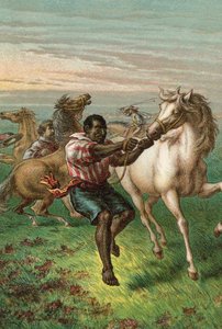 Les cavaliers de Garibaldi domptant des chevaux sauvages - English School