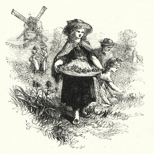Récolte de Primevères - English School