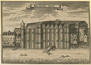 Vue générale du château de Baynards - English School