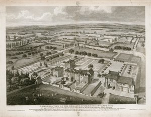Vue générale des vestiges de l