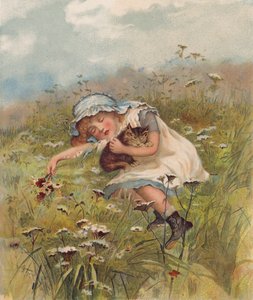Fille et chat dormant dans un champ - English School