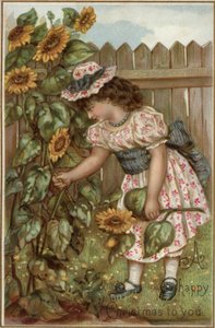 Fille cueillant des tournesols dans un jardin - English School
