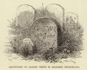 Pierre tombale de Gilbert White dans le cimetière de l