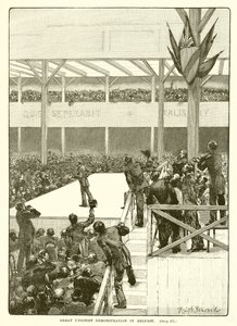 Grande Manifestation Unioniste à Belfast, 1890 - English School