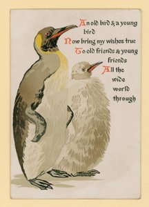 Carte de vœux, avec des pingouins