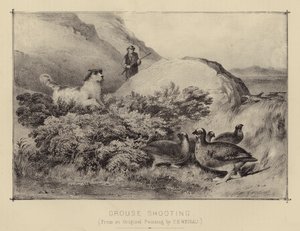 Chasse au Tétras - English School