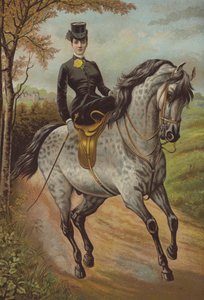 SAR la princesse de Galles
