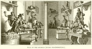 Salle des Animaux (Museo Pio-Clementino) - English School