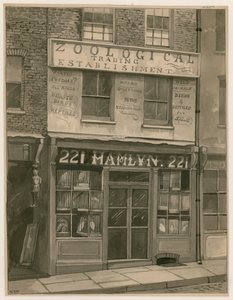 Commerce zoologique de Hamlyns, 221 St Georges Street, London Docks