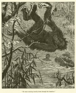 "Il est tombé lourdement à travers les branches" (gravure)