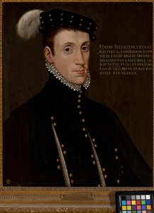 Henry Fitzalan, Lord Maltravers (1538-1556)
