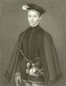 Henry Stuart, Lord Darnley, Roi d