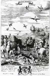 Herne chassant au faucon, de 