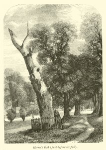 Chêne de Herne, juste avant sa chute - English School