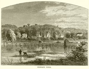 Étangs de Highgate - English School