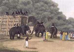 Piège à éléphants hindou, pub. par Edward Orme - English School