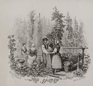 Jardin de houblon