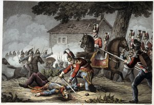 Garde à cheval sur le champ de bataille de Waterloo dans «Anecdotes historiques, militaires et navales et incidents arrivés aux armées britanniques et à leurs alliés, se terminant à Waterloo» par Edward Orme. Ill. par Fry, Sutherland, Clark, Dubourg, W.Hea