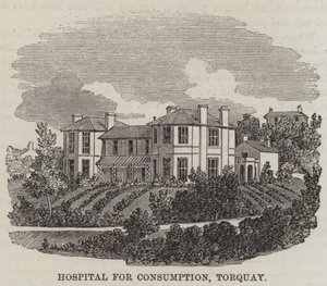 Hôpital pour la consommation, Torquay - English School