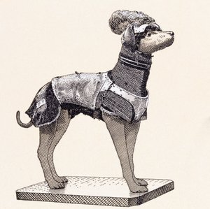 Chien en armure - English School