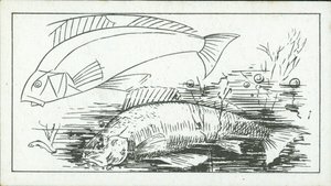 Comment dessiner : La perche (litho) - English School