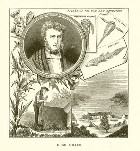 Hugh Miller - English School