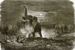 Chasseur et éléphant - English School