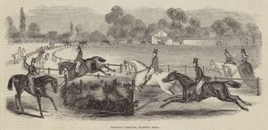 Terrains de chasse, Harrow Road