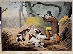 Chasse à la bécasse en Angleterre. Gravure aquarelle du 19ème siècle. Gien, musée de la chasse.