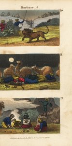 Chasse aux lions dans les États barbaresques, chameaux et conducteurs dormant dans le désert et Arabes invitant les voyageurs à dîner - English School