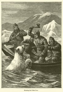 Chasse à l