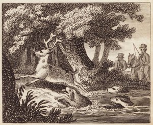 Chasse au cerf - English School