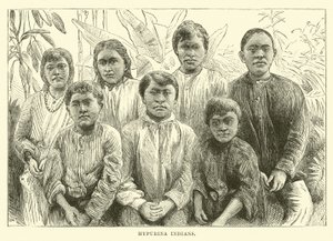 Indiens Hypurina - English School
