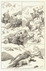 Chasse à l