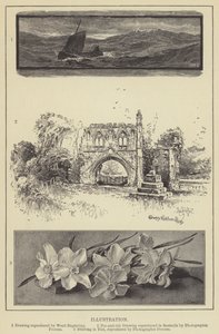 Illustration (gravure)