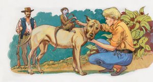 Illustration pour Robinson Suisse