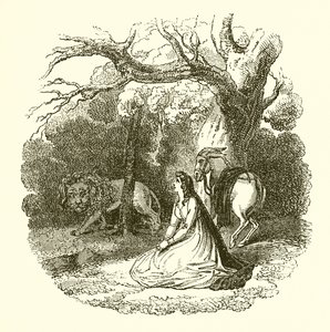 Illustration de la Reine des Fées - English School