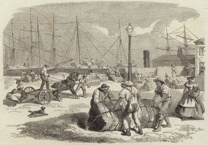 Illustrations de la guerre en Amérique