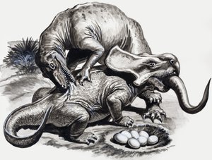 Au temps des dinosaures : Découverte dans le désert - English School