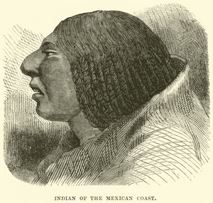 Indien de la côte mexicaine - English School