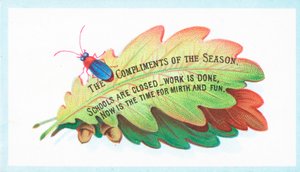 Insecte sur des feuilles de chêne, carte de Noël - English School