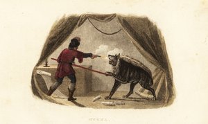 James Bruce tuant une hyène avec un pistolet et une lance dans sa tente à Maitsha, Abyssinie (près de Gondar, Éthiopie)