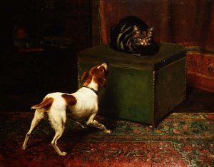 Animaux jaloux