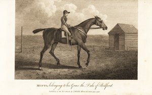 Jockey sur le célèbre cheval de course pur-sang Mufti, appartenant à son Altesse le Duc de Bedford - English School