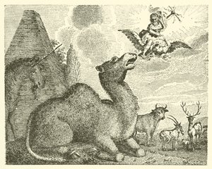 Jupiter et le chameau (gravure) - English School