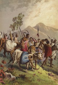 Kaffirs transportant leurs blessés de la guerre