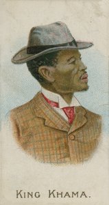 Roi Khama - English School
