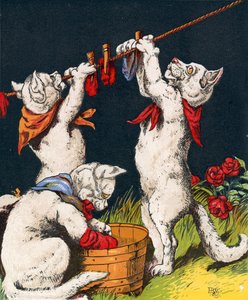 Chatons lavant leurs mitaines