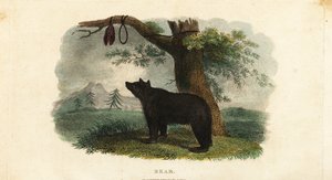Méthode de chasse à l