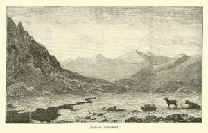 Paysage du Ladakh - English School